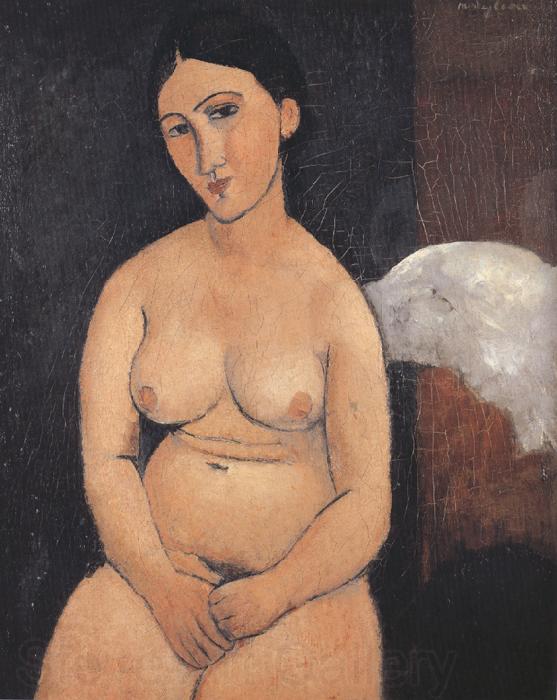 Amedeo Modigliani Seated Nude (mk39)